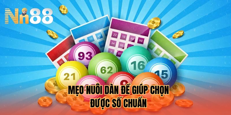 Mẹo nuôi dàn đề giúp chọn được số chuẩn