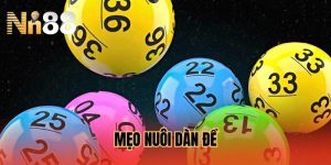 meo-nuoi-dan-de-hay-hieu-qua-va-de-trung-tai-nn88