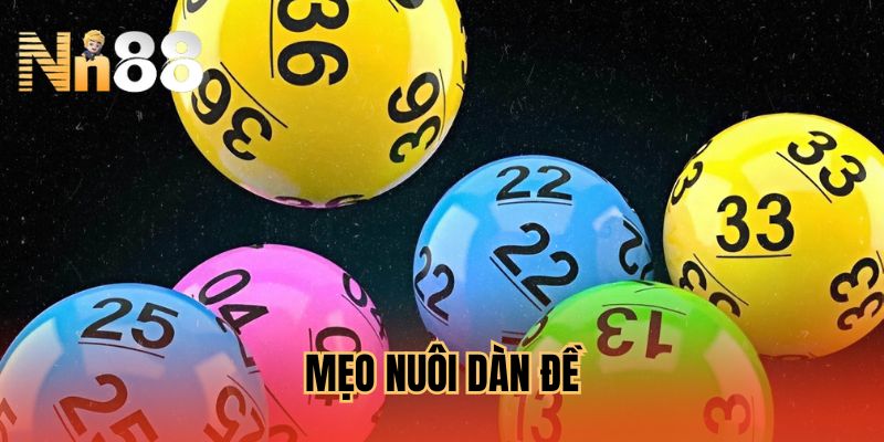 meo-nuoi-dan-de-hay-hieu-qua-va-de-trung-tai-nn88